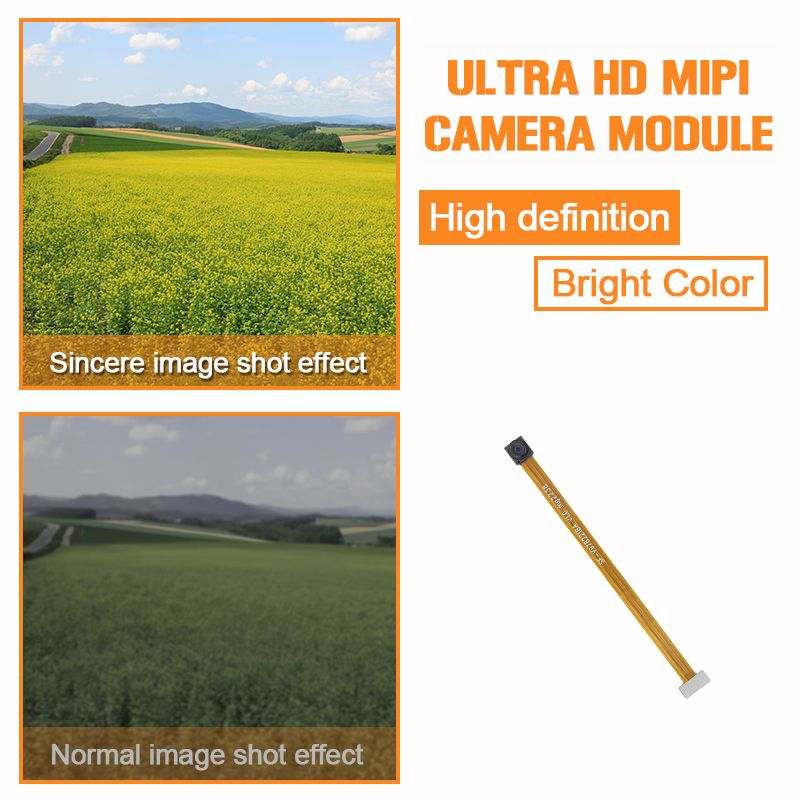 product-800-800 product-800-800